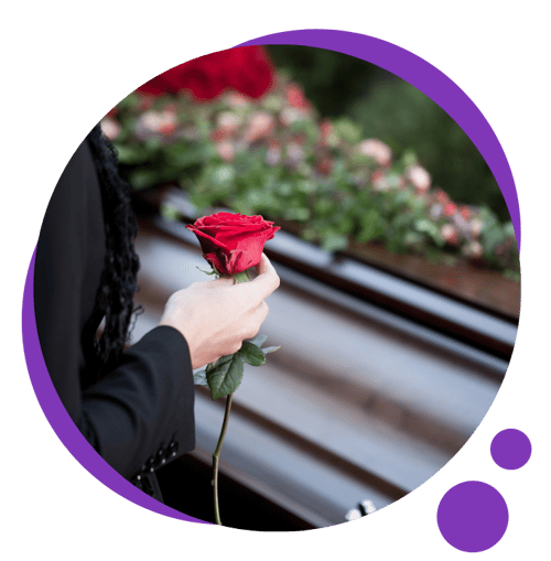 software para funerárias